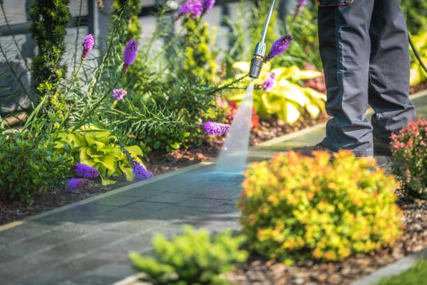 Reliable Cedarville, AR Pressure Washing Services Solutions