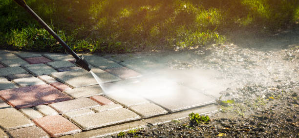 Best Warehouse Cleaning  in Cedville, AR