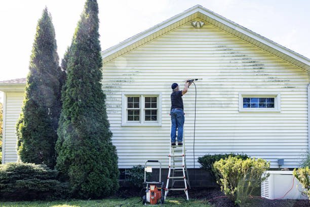 Best Dumpster Area Cleaning  in Cedville, AR